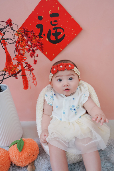 Spring Harmony Baby Ruffled Sleeves Tulle Dress Playsuit