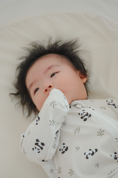 Soft Organic Cotton Sleepsuit Panda