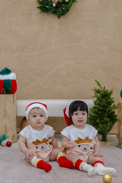 Christmas Baby Deluxe Gift Set - Hedgehog with Personalised Blanket