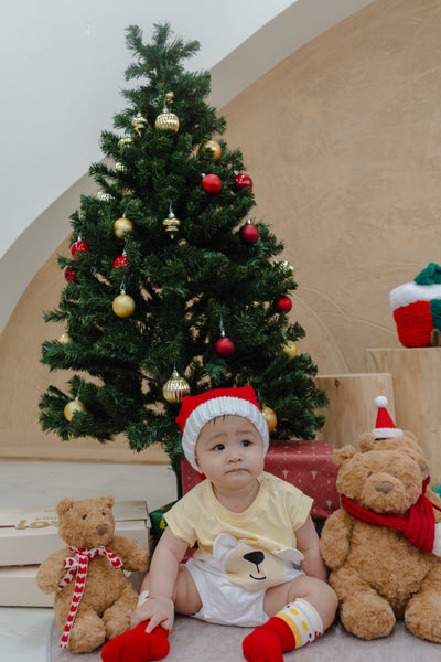 Christmas in the Woods Bear Playwear