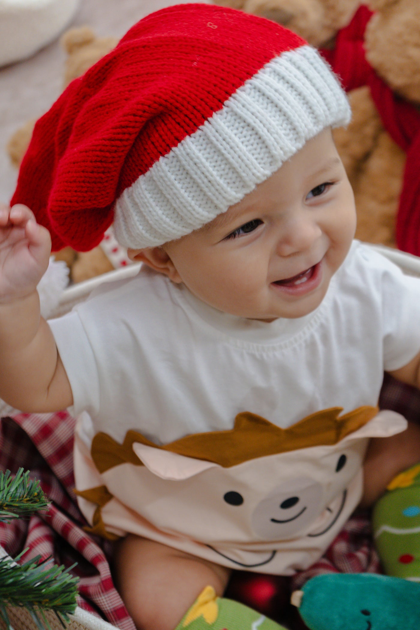 Christmas Baby Deluxe Gift Set - Hedgehog with Personalised Blanket