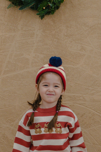 Holiday Beanie