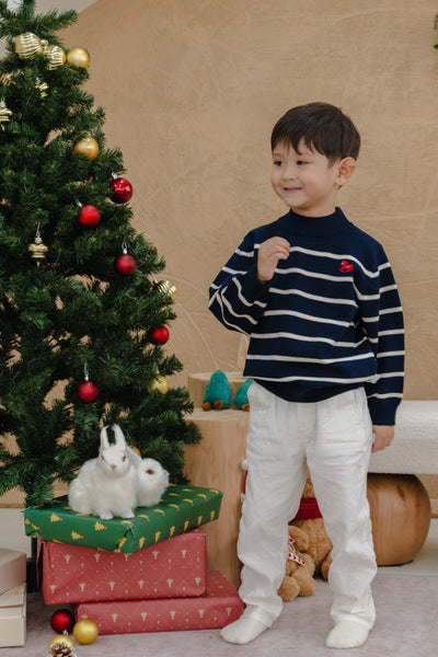 Holiday Stripe Sweater Navy