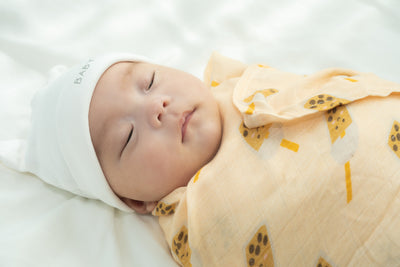 Soft Organic Swaddle (4 Designs)