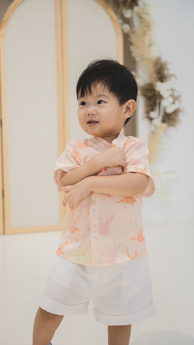 Boys Mandarin Collar Shirt Blessing Cranes
