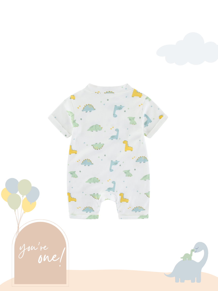 Organic Cotton Playwear Romper Dinosaur