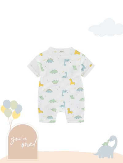 Organic Cotton Playwear Romper Dinosaur