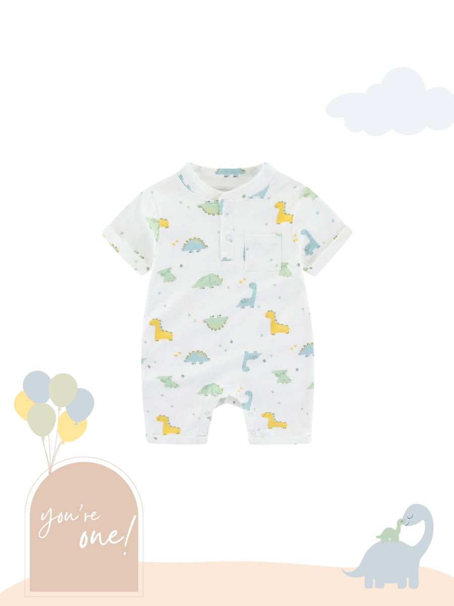 Organic Cotton Playwear Romper Dinosaur