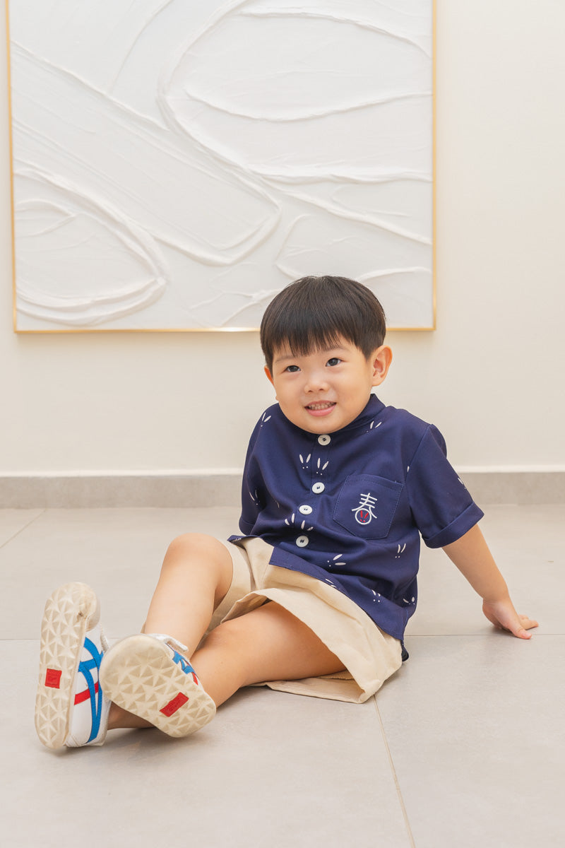 Abundance Spring Boy Embroidered Mandarin Collar Shirt