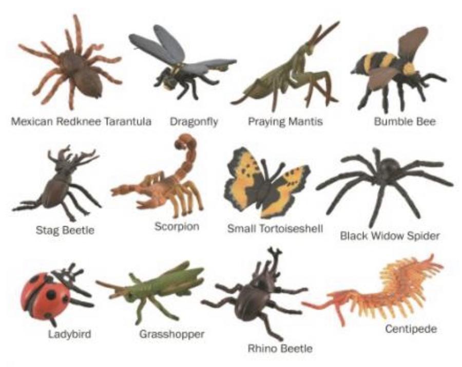CollectA Box of Mini Insects & Spiders